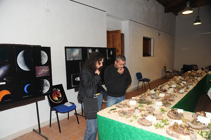 2Mostra Micologica Avola 13.11.2010 (148).JPG